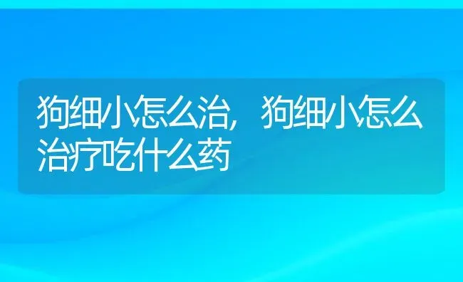 狗细小怎么治,狗细小怎么治疗吃什么药 | 养殖资料