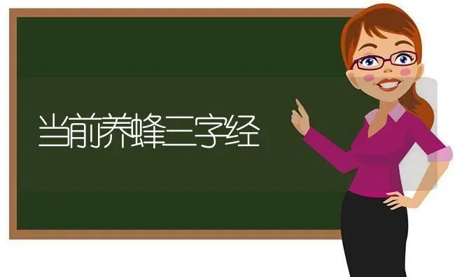 当前养蜂三字经 | 养殖知识