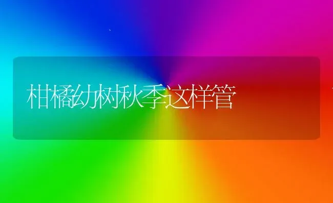 柑橘幼树秋季这样管 | 养殖技术大全