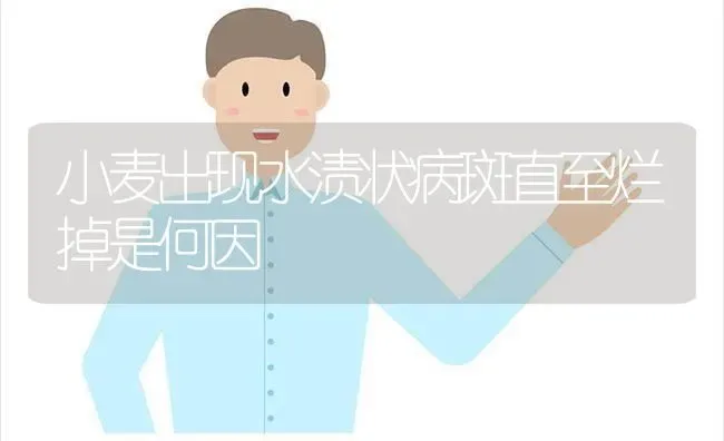 如何巧施尿素? | 养殖技术大全