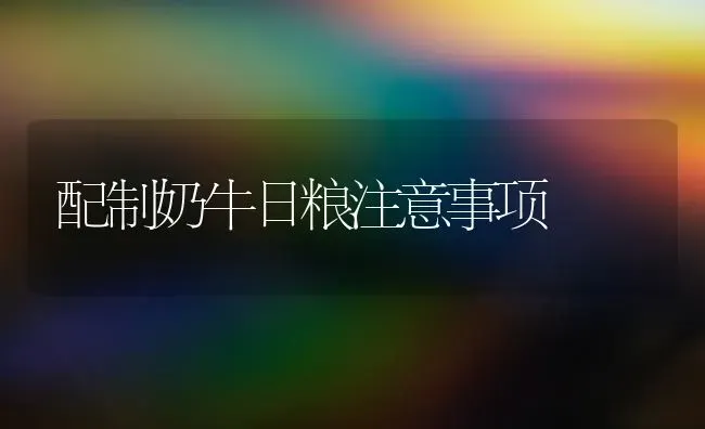 配制奶牛日粮注意事项 | 养殖技术大全