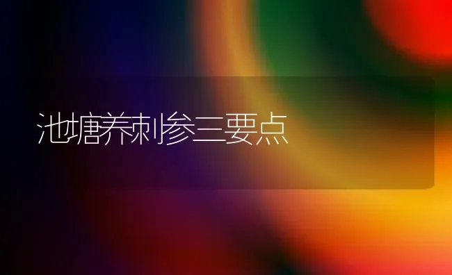 池塘养刺参三要点 | 养殖知识