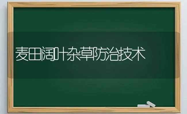 麦田阔叶杂草防治技术 | 养殖知识