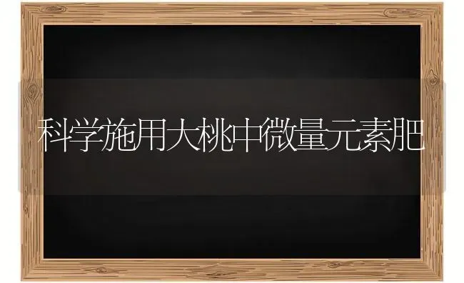 科学施用大桃中微量元素肥 | 养殖技术大全