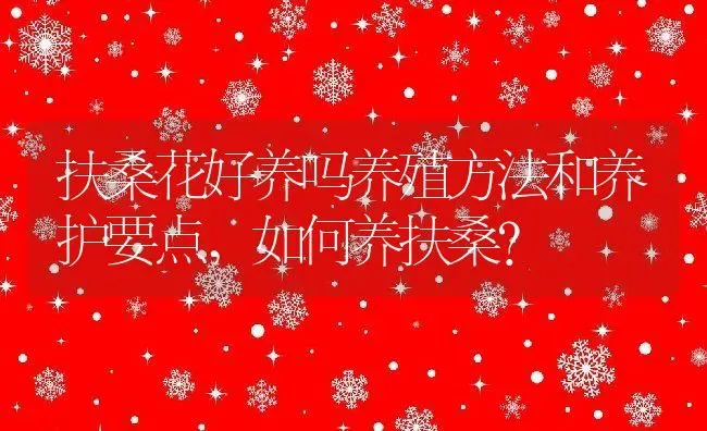扶桑花好养吗养殖方法和养护要点,如何养扶桑？ | 养殖科普