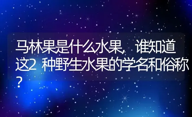 马林果是什么水果,谁知道这2种野生水果的学名和俗称？ | 养殖科普