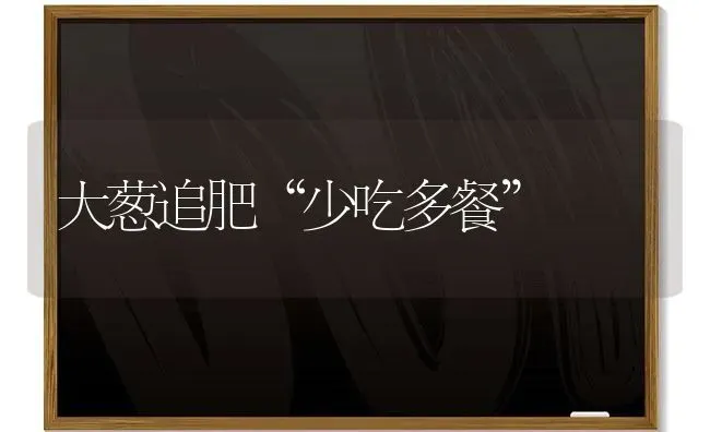大葱追肥“少吃多餐” | 养殖知识