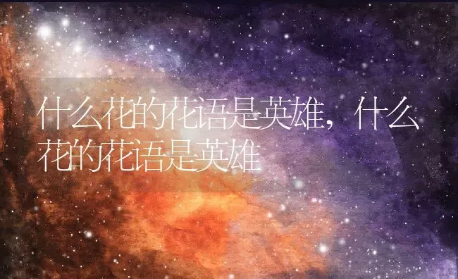 什么花的花语是英雄,什么花的花语是英雄 | 养殖科普