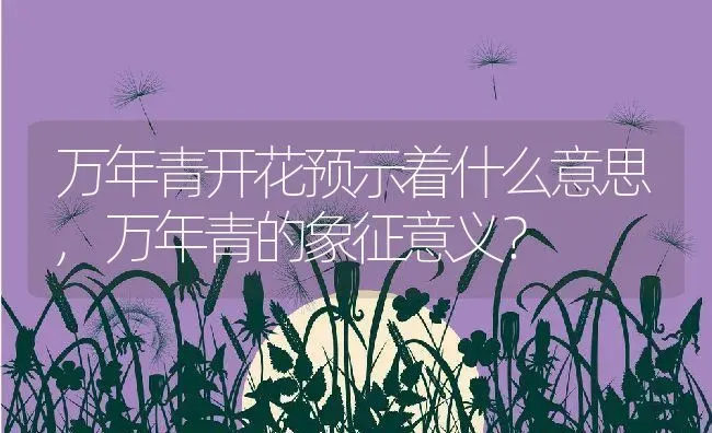 万年青开花预示着什么意思,万年青的象征意义？ | 养殖科普