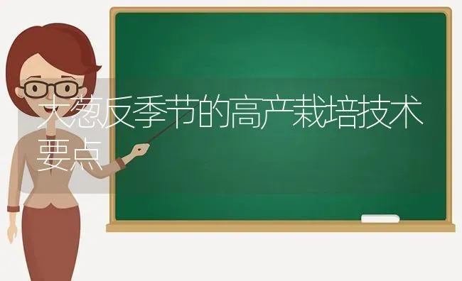 大葱反季节的高产栽培技术要点 | 养殖技术大全