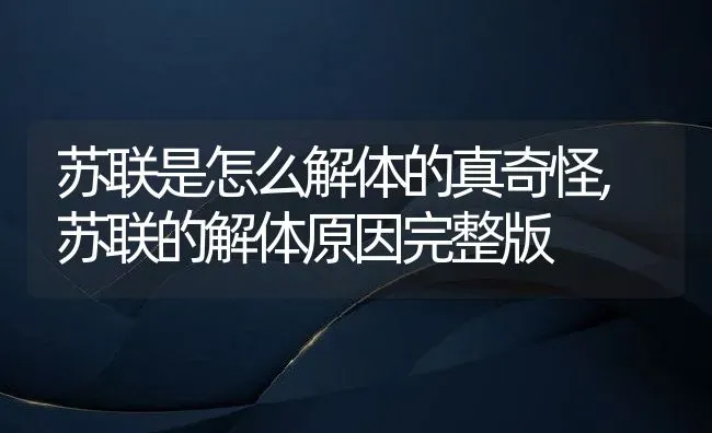 苏联是怎么解体的真奇怪,苏联的解体原因完整版 | 养殖学堂