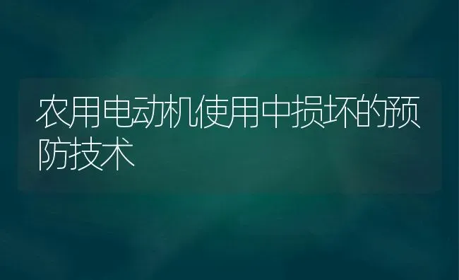 农用电动机使用中损坏的预防技术 | 养殖技术大全