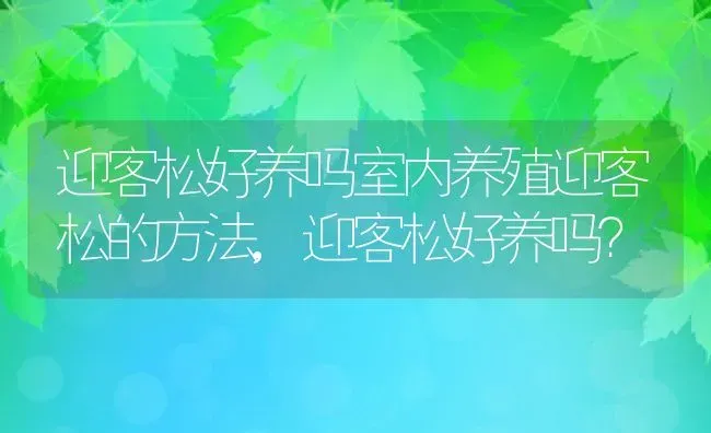 虾虎鱼吃什么,虾虎鱼吃什么食物 | 养殖科普