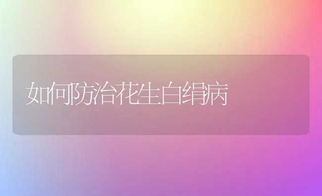 如何防治花生白绢病 | 养殖技术大全