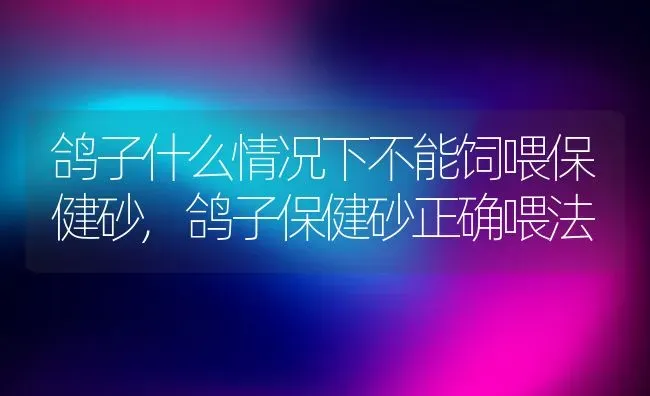 鸽子什么情况下不能饲喂保健砂,鸽子保健砂正确喂法 | 养殖学堂