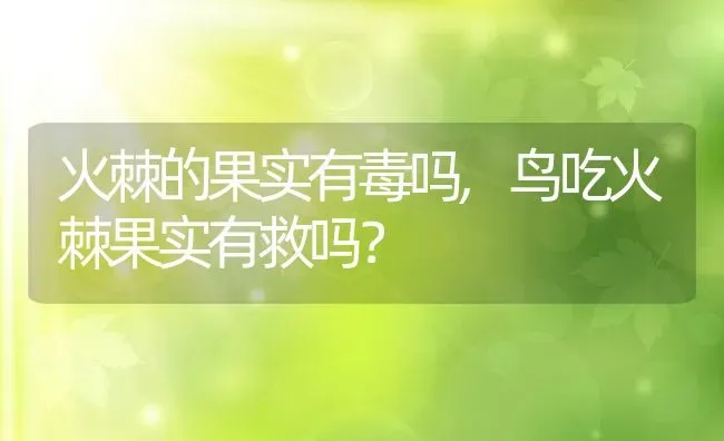 火棘的果实有毒吗,鸟吃火棘果实有救吗？ | 养殖学堂