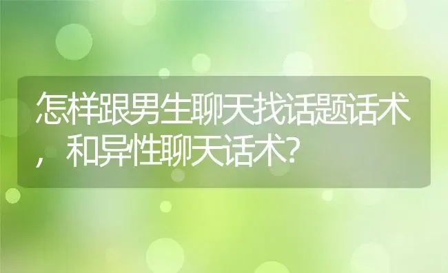 怎样跟男生聊天找话题话术,和异性聊天话术？ | 养殖科普