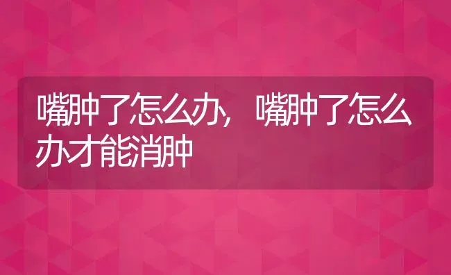 嘴肿了怎么办,嘴肿了怎么办才能消肿 | 养殖科普