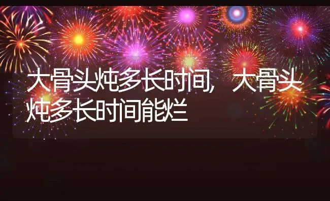 大骨头炖多长时间,大骨头炖多长时间能烂 | 养殖资料