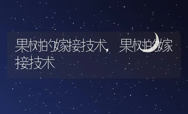 果树的嫁接技术,果树的嫁接技术 | 养殖科普