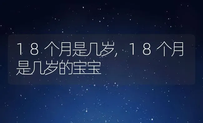 18个月是几岁,18个月是几岁的宝宝 | 养殖资料