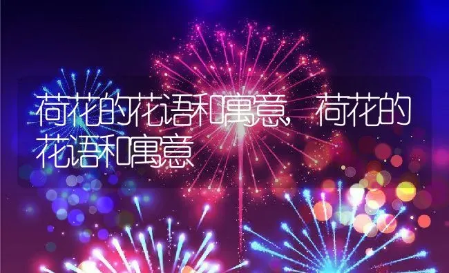 荷花的花语和寓意,荷花的花语和寓意 | 养殖科普
