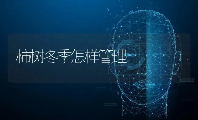 柿树冬季怎样管理 | 养殖技术大全