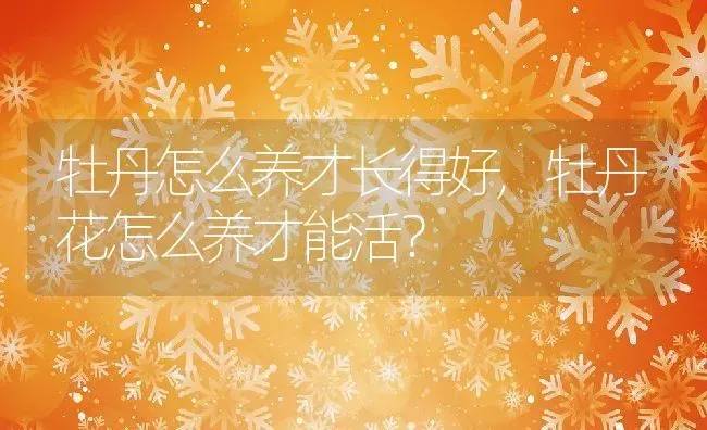 牡丹怎么养才长得好,牡丹花怎么养才能活？ | 养殖学堂