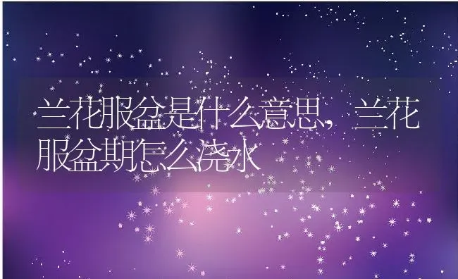 兰花服盆是什么意思,兰花服盆期怎么浇水 | 养殖学堂