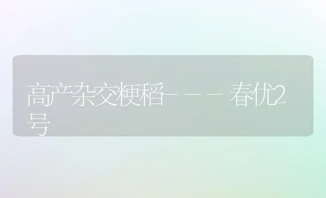 高产杂交粳稻---春优2号 | 养殖技术大全