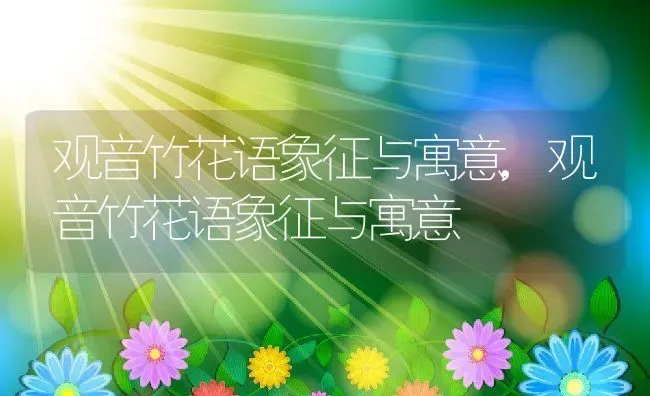 观音竹花语象征与寓意,观音竹花语象征与寓意 | 养殖科普