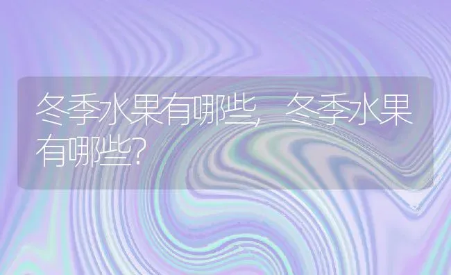 冬季水果有哪些,冬季水果有哪些？ | 养殖科普