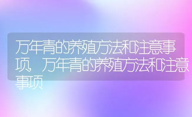 万年青的养殖方法和注意事项,万年青的养殖方法和注意事项 | 养殖学堂