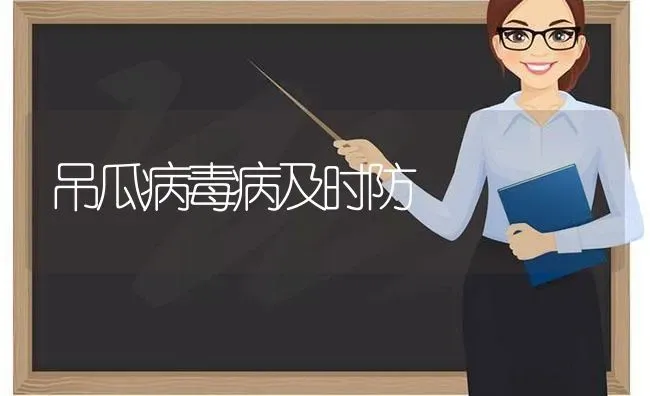 吊瓜病毒病及时防 | 养殖知识