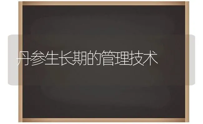 丹参生长期的管理技术 | 养殖知识