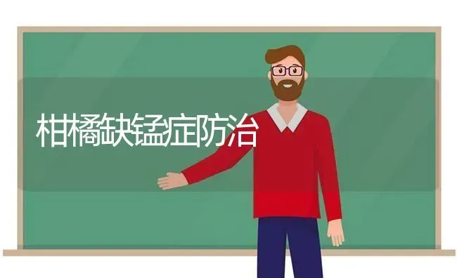 柑橘缺锰症防治 | 养殖技术大全