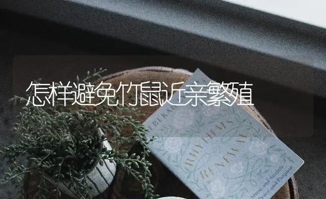 怎样避免竹鼠近亲繁殖 | 养殖技术大全