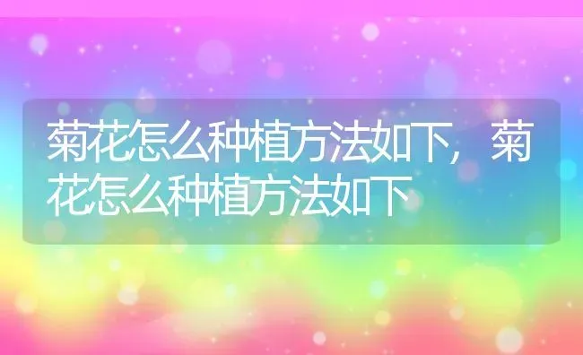 菊花怎么种植方法如下,菊花怎么种植方法如下 | 养殖科普