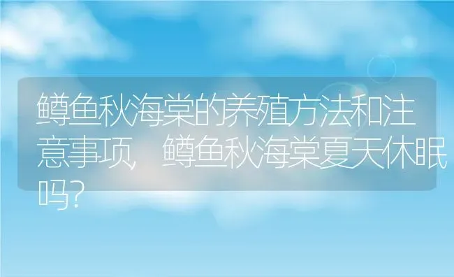 鳟鱼秋海棠的养殖方法和注意事项,鳟鱼秋海棠夏天休眠吗？ | 养殖科普