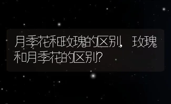 月季花和玫瑰的区别,玫瑰和月季花的区别？ | 养殖科普