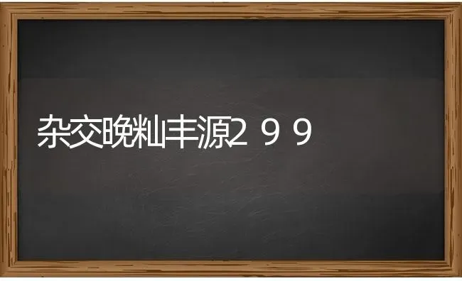 杂交晚籼丰源299 | 养殖技术大全