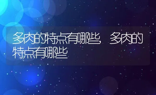 多肉的特点有哪些,多肉的特点有哪些 | 养殖科普