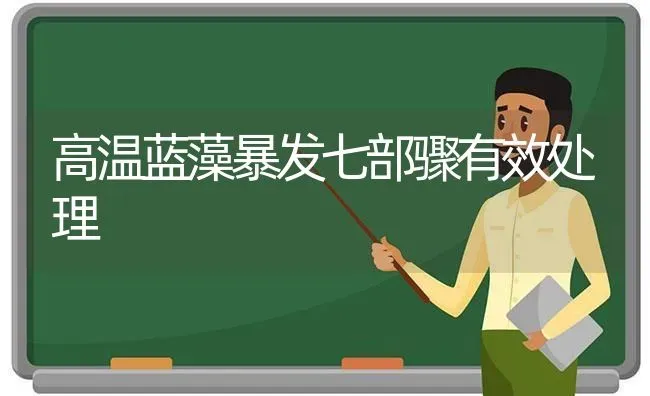 高温蓝藻暴发七部骤有效处理 | 养殖技术大全