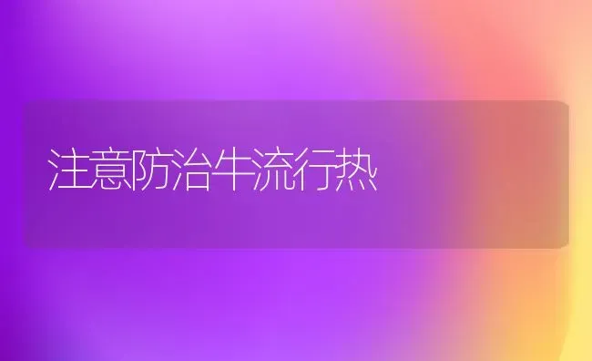 注意防治牛流行热 | 养殖知识