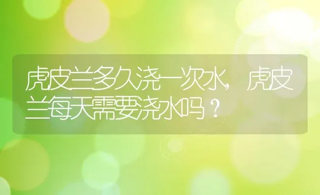虎皮兰多久浇一次水,虎皮兰每天需要浇水吗？ | 养殖科普