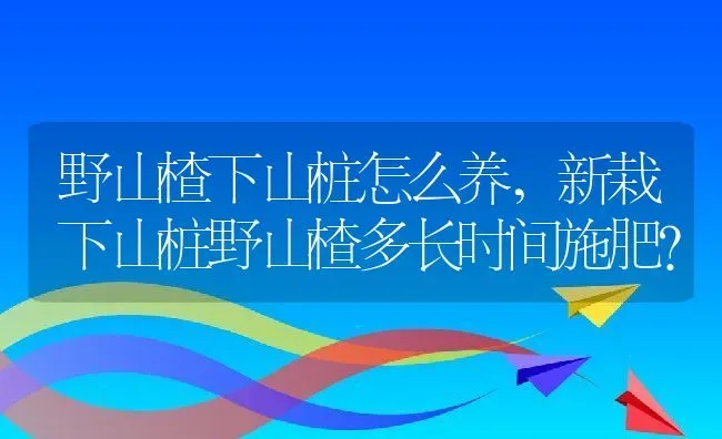 野山楂下山桩怎么养,新栽下山桩野山楂多长时间施肥？ | 养殖科普