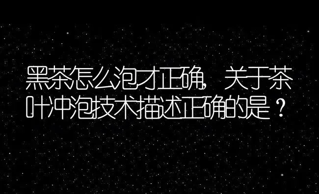 黑茶怎么泡才正确,关于茶叶冲泡技术描述正确的是？ | 养殖学堂