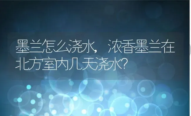 墨兰怎么浇水,浓香墨兰在北方室内几天浇水？ | 养殖科普