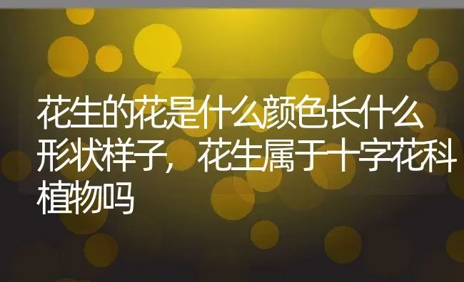 花生的花是什么颜色长什么形状样子,花生属于十字花科植物吗 | 养殖学堂