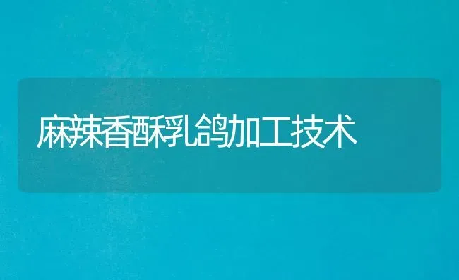 麻辣香酥乳鸽加工技术 | 养殖技术大全